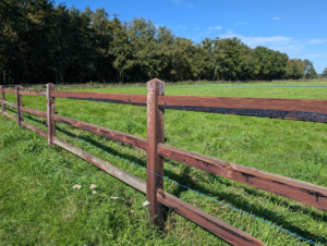 setting boundaries without guilt